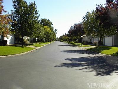 Photo 4 of 11 of park located at 2050 Springfield Drive Chico, CA 95928