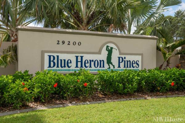 Blue Heron Pines Galloway Homes For Sale