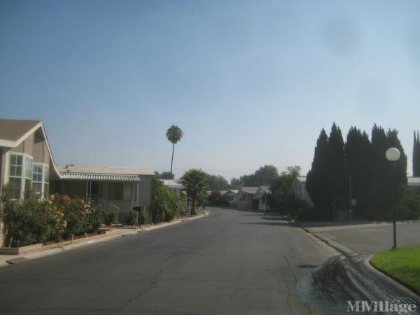 Photo of University Mobile Estates, Loma Linda CA