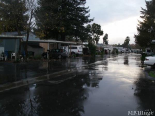 Photo of Valley Village , Rohnert Park CA