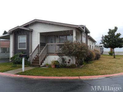 Photo 3 of 17 of park located at 87 A Street Concord, CA 94520