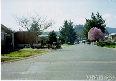 Mobile Home Park in Willits CA