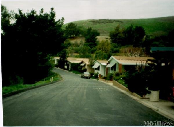 Photo of Western Hill Estates, Chino Hills CA