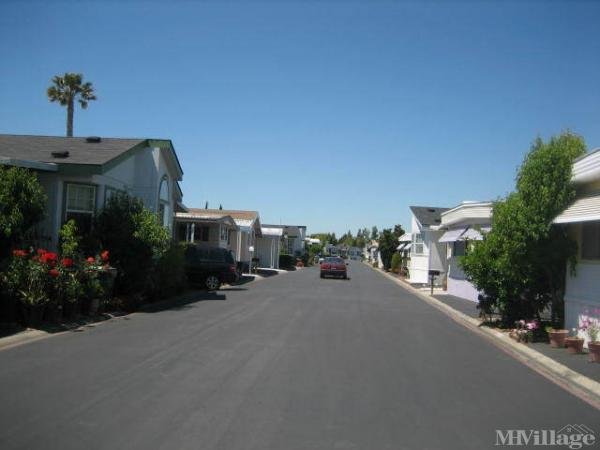 Photo of Silver Creek Mobile Estates, San Jose CA