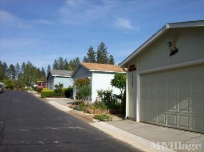 Photo 3 of 22 of park located at 10135 Timberland Drive Grass Valley, CA 95949