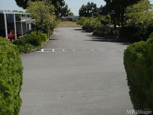 Photo 1 of 2 of park located at 144 Holm Road Watsonville, CA 95076