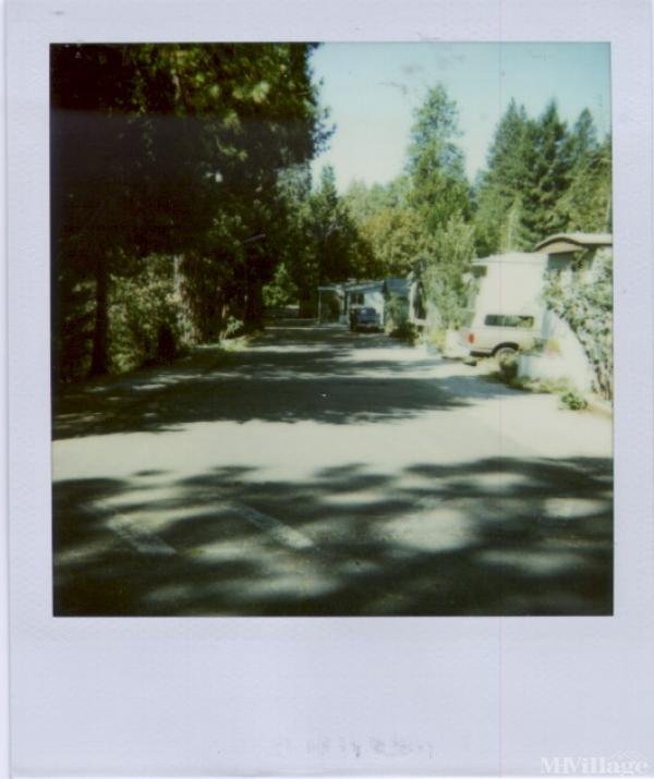 Photo 1 of 1 of park located at 5160 Pony Express Camino, CA 95709