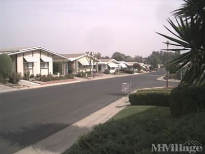 Mobile Home Park in Reedley CA