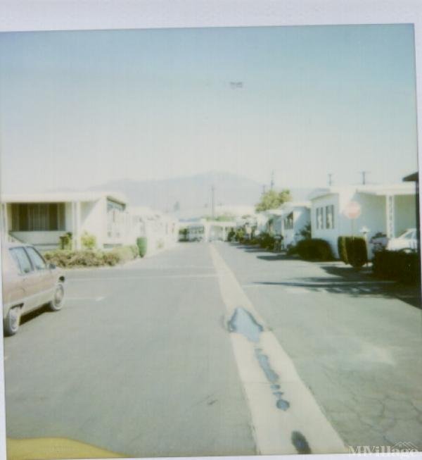 Photo of Daleview, El Monte CA