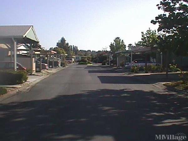 Photo of Hillside Trailer Park, Lemon Cove CA
