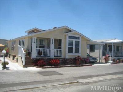 Photo 4 of 7 of park located at 19251 Brookhurst Street Huntington Beach, CA 92646