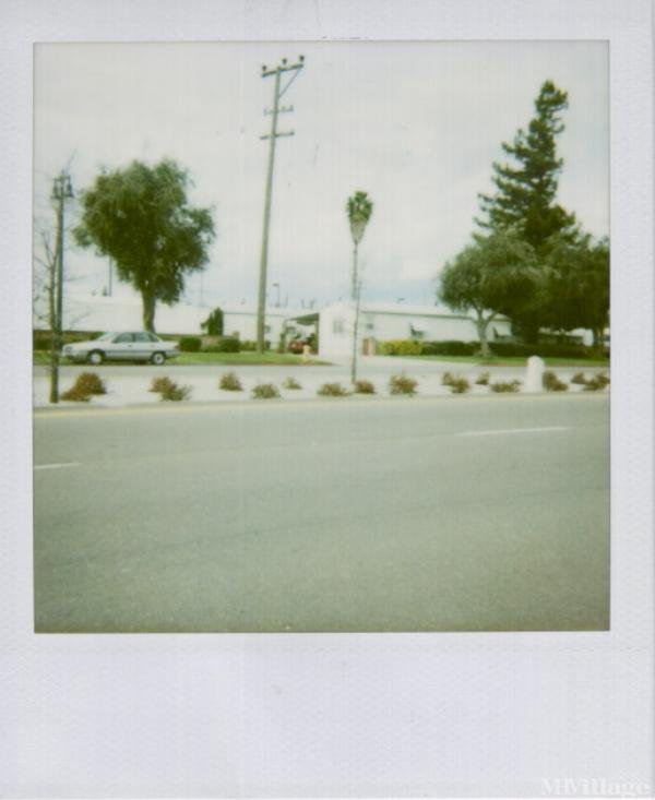 Photo 1 of 1 of park located at 1651 Cherokee Lane Lodi, CA 95240