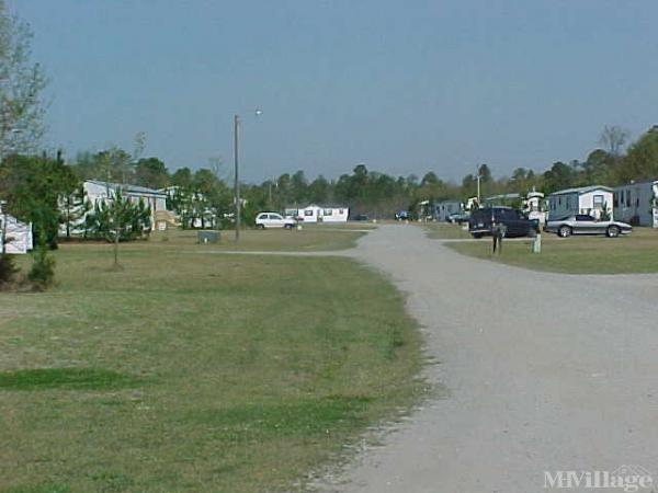 Photo 1 of 1 of park located at Nc Hwy 41 Lumberton, NC 28358