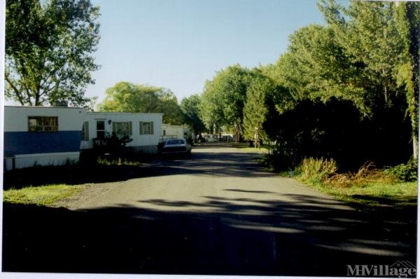 Photo of Cottonwood Mobile Home Park, Montrose CO