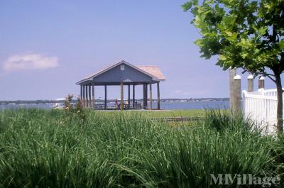 Photo 4 of 25 of park located at 23719 Bayview Drive Lewes, DE 19958