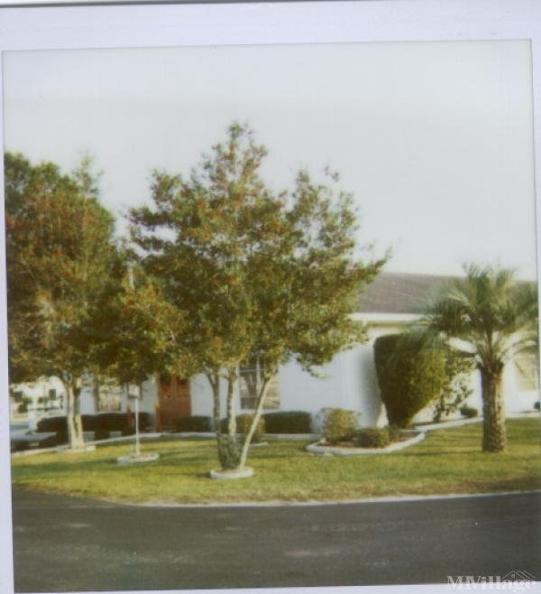 Photo 1 of 2 of park located at 37501 Martindale Avenue Zephyrhills, FL 33542