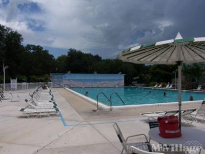 Photo 4 of 8 of park located at 3300 Fruitville Road Sarasota, FL 34237