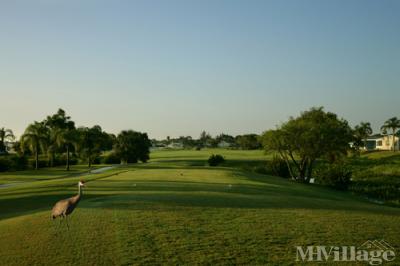 Photo 5 of 21 of park located at 3150 Crabapple Drive Port St Lucie, FL 34952