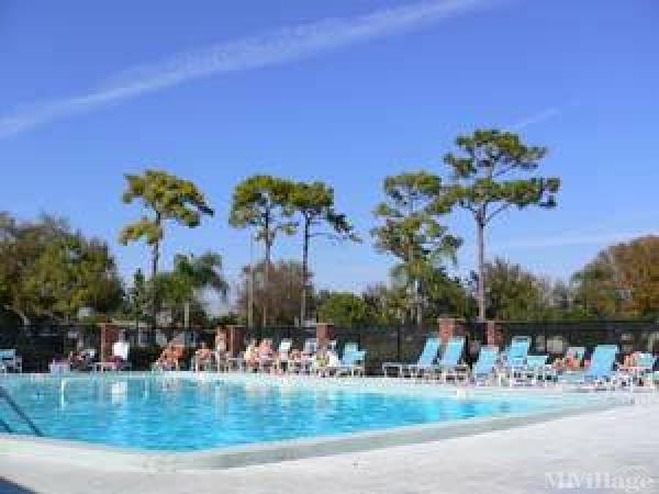 Photo of Bedrock Pinellas Cascades, Pinellas Park FL
