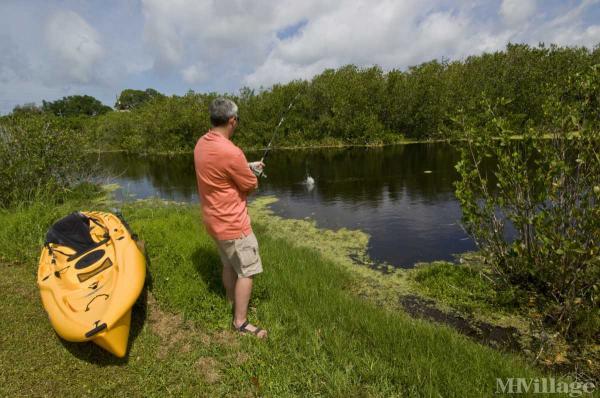 Photo 1 of 2 of park located at 3300 N. Alternate Hwy 19 Dunedin, FL 34698