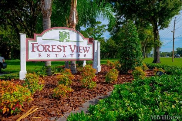 Photo of Forest View, Homosassa FL