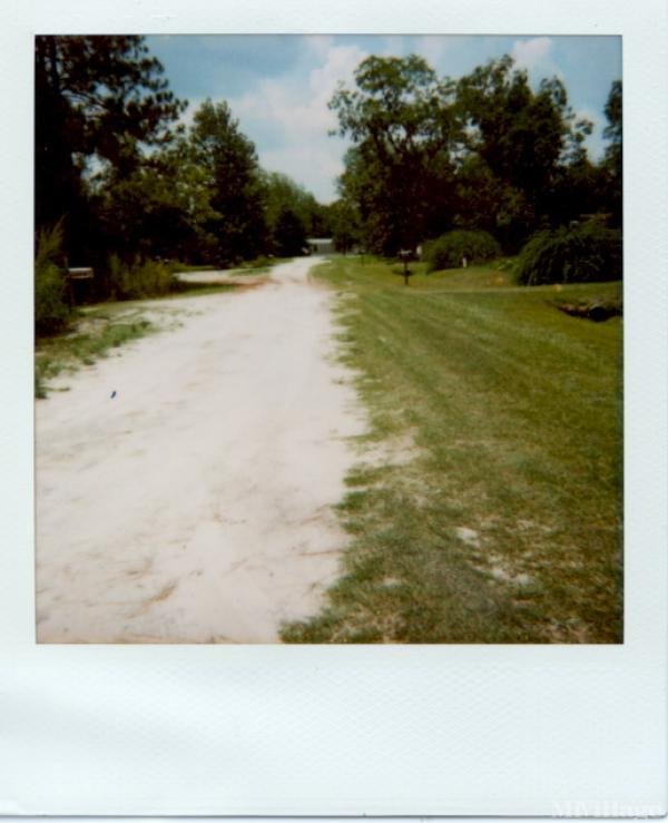 Photo 1 of 2 of park located at State Route 16 And Morgan Road Starke, FL 32091