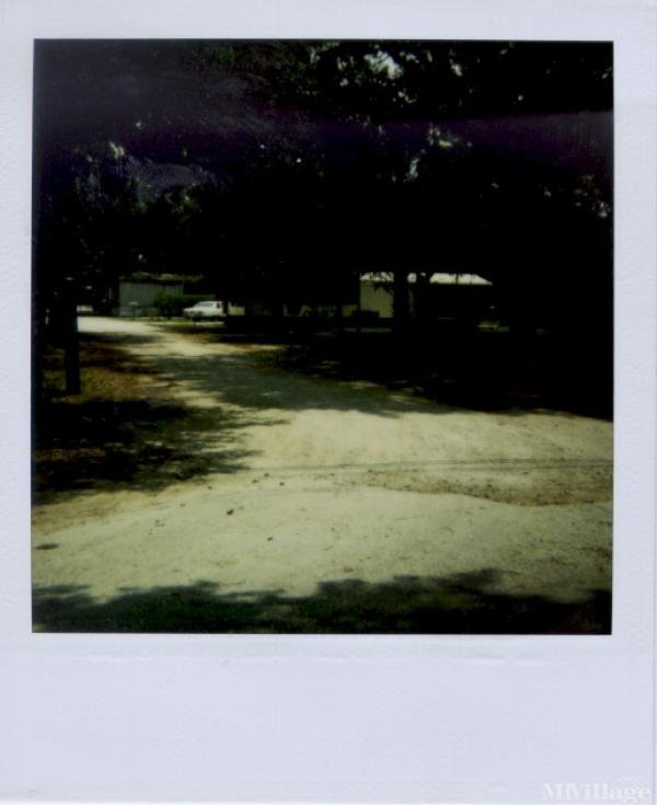 Photo 1 of 2 of park located at 12640 Memorial Highway Tampa, FL 33635