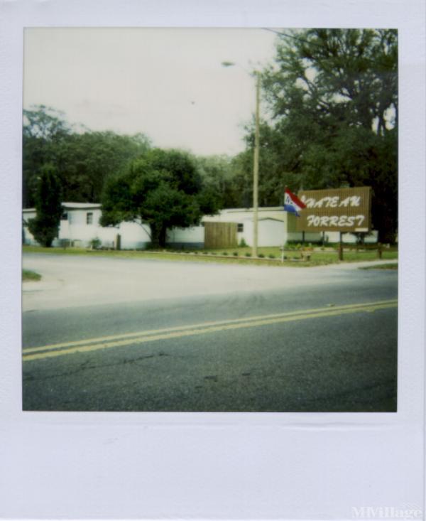 Chateau Forrest MHP Mobile Home Park in Seffner, FL MHVillage