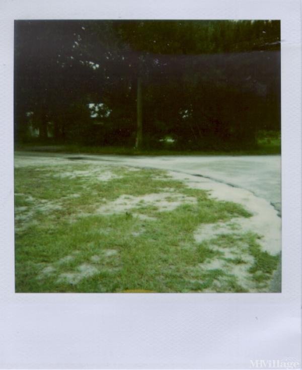 Photo 0 of 2 of park located at 4202 West Holloway Road Plant City, FL 33567