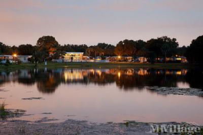 Photo 4 of 12 of park located at 15401 Lakeshore Villa St. Tampa, FL 33613