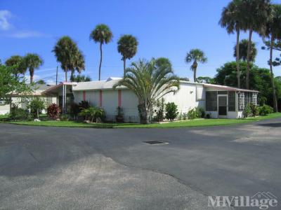 Whispering Palms Rv Park Sebastian Florida