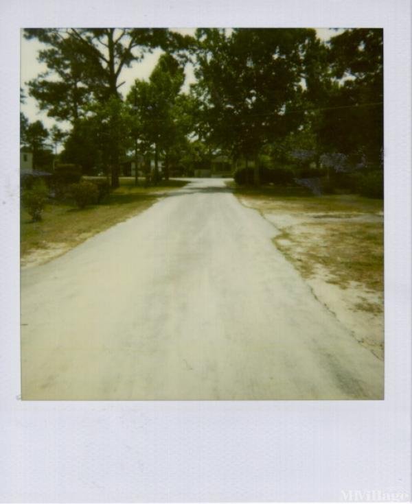 Photo of Melvin's Mobile Home Park, Marianna FL