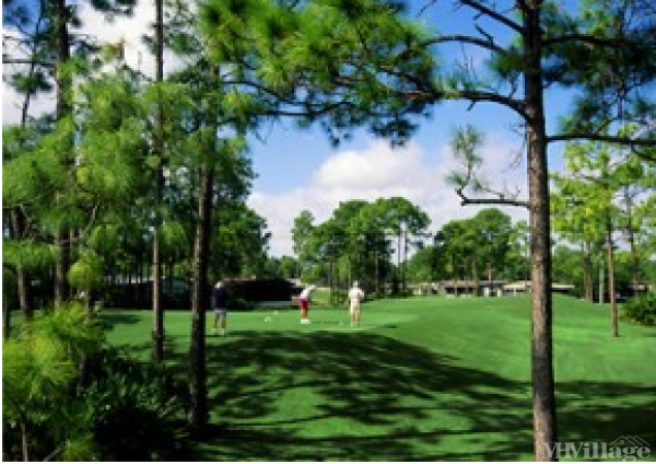 Photo of Lake Fairways Country Club, North Fort Myers FL