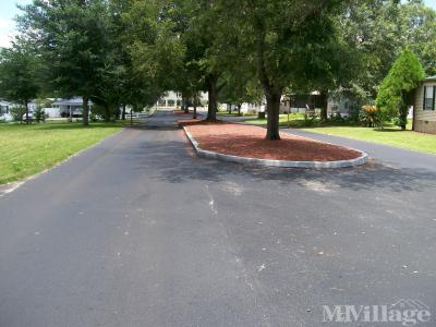 Photo 4 of 9 of park