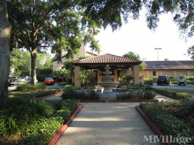 Photo 5 of 11 of park