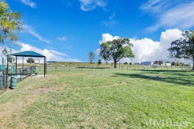 Photo 5 of 38 of park