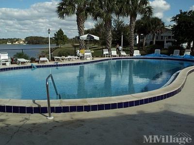 heron bay pool