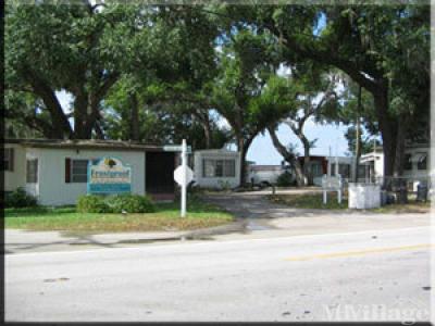 Mobile Home Park in Frostproof FL