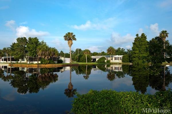 Photo of Royal Palm Village, Haines City FL