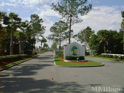 frostproof fl mobile park parks pines rv southern mhvillage retirement senior living