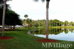 Photo 3 of 6 of park located at 300 El Prado North Port, FL 34287