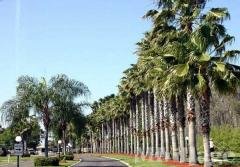 Photo 1 of 6 of park located at 300 El Prado North Port, FL 34287