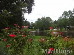 Photo 3 of 15 of park located at 711 Lemon Avenue Lake Helen, FL 32744