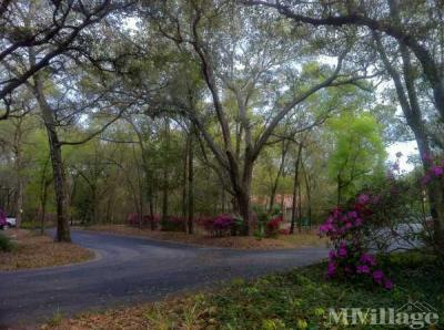 Photo 3 of 20 of park located at 400 Nut Tree Drive Deland, FL 32724