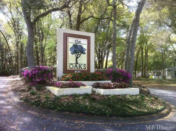Photo of The Oaks, Deland FL
