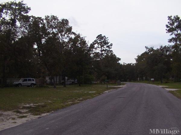 Photo 1 of 1 of park located at 3400 Annie Court Dade City, FL 33523