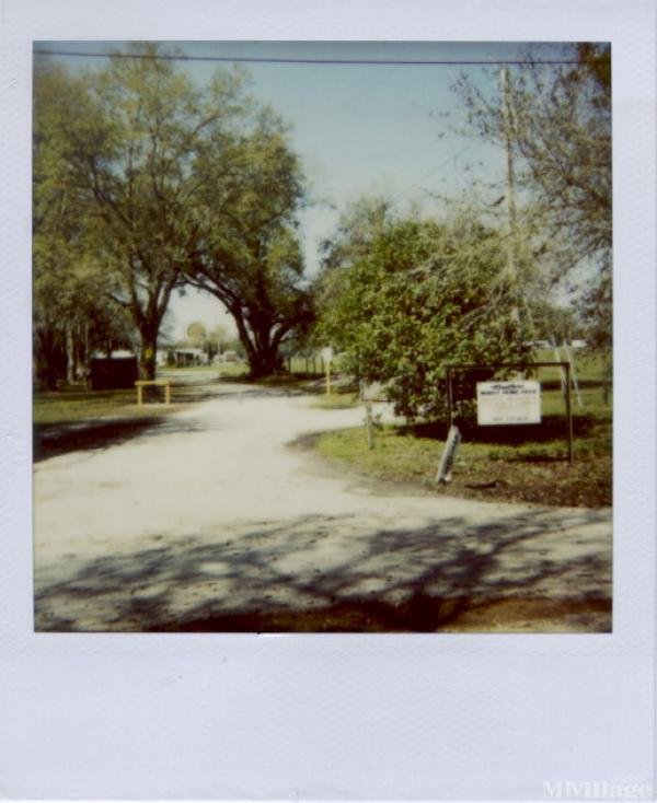 Photo 1 of 2 of park located at 3101 Blount Road Dover, FL 33527