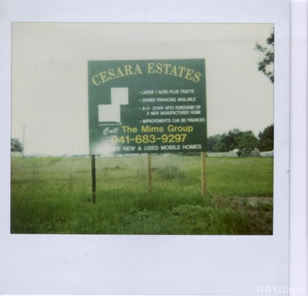 Photo of Cesara Estates, Mulberry FL