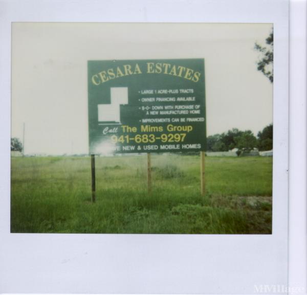 Photo 1 of 2 of park located at 324 Cesars Drive Mulberry, FL 33860