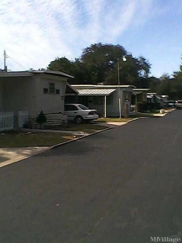 Photo 1 of 2 of park located at 6700 North Rome Avenue Tampa, FL 33604